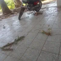 موتور تلاش سری اول
