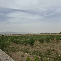 دو-هزار-متر-باغ