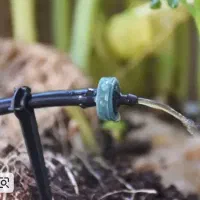 اجرای آبیاری قطره‌ای