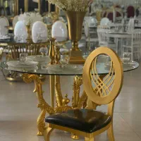 صندلی پلیمری برای تالار،هتل و رستوران/مدل تینا