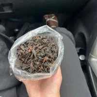 چای دستی درجه یک بهاره