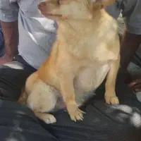 گمشده در پارک مبعث