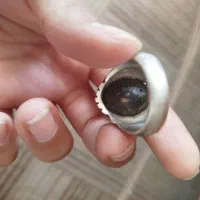 انگشتر|جواهرات|ایذه, |دیوار