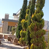 ویلا کوهپایه