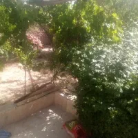 ویلایی 12 قصب ساختمان90متری سرویسی گلباف