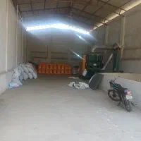 بوجاری انواع باقلا نخود گندم جو شالی