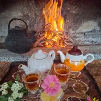 اجاره-روزانه-باغ-در-نجف-آباد-فقط-خانواده