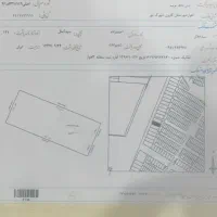 زمین-سندتک-برگ6دانگ