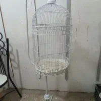 قفس پرنده