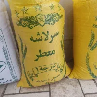 مژده مژده.  طرح خانوار اجرایی شد. چک تادوماه