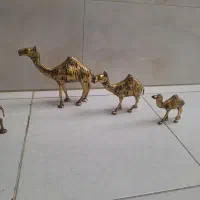 شتر برنجی جنس قدیم