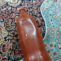 رب خانگی