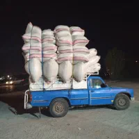 کاه گندم درجه یک