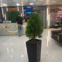 دستیار و خدمات