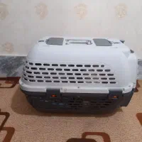 باکس سگ سایر 6