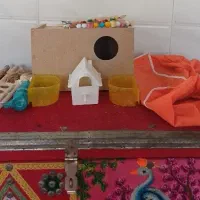 وسایل قفس