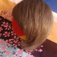 کلاه گیس