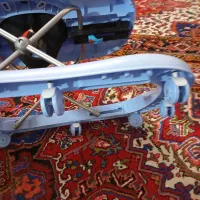 ننی و رورویک