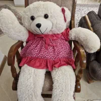 خرس یک متری