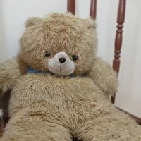 عروسک خرسی بزرگ