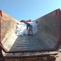 نمک خیار شور رازلیق
