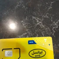232*6666*0939