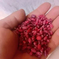 زرشک|خوردنی و آشامیدنی|قائن, |دیوار