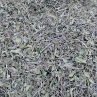 آویشن کوهی