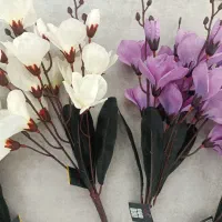 گل آلستر ژورنالی