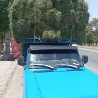 یونجه خشک درجه یک