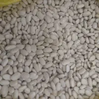 لوبیا سفید (برندصالح)