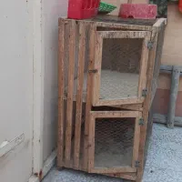 قفس کبوتر