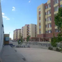 فیش-مسکن-ملی