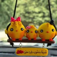 اویز خودرو ماشین جوجه