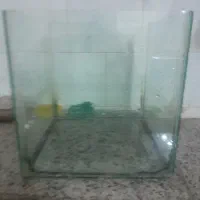 آکواریوم