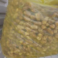 توت خشک شاندیز
