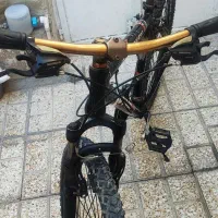 دوچرخه ویوا تایوانی اصلی