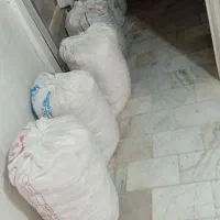 نون خشکی فوری