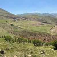 بار از چابهار ب زاهدان میارم با ماشین پراید