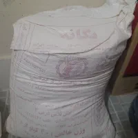 آردیگانه