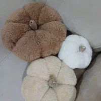 کدو تنبل