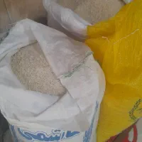 برنج محلی تالش