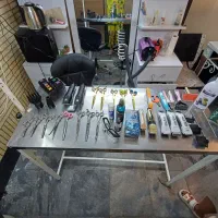 اصلاح پت خانگی