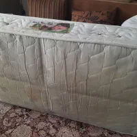 تشک نوجوان رویال