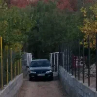 پژو.پارس  پرشیا   ۸۱