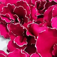 سفارش پارچه سازی پذیرفته میشود