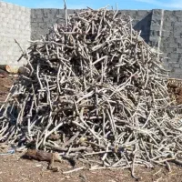 خرید چوب پسته وپوست پسته (کربن)