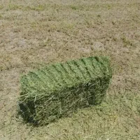یونجه درجه یک ۴۰ تومن