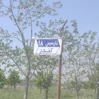 شاندیز،سوران فرح اباد11 نارسیس18