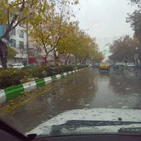 نیاز به مسافر